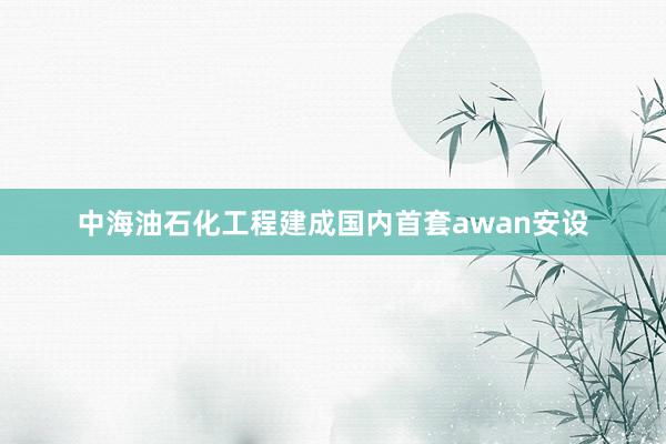 中海油石化工程建成国内首套awan安设